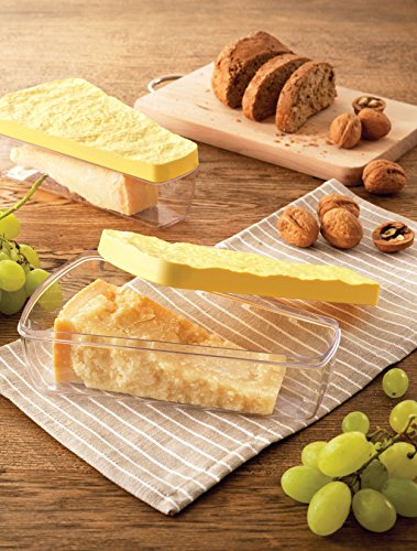 Snips Parmesan Cheese Saver, Cheese Container for Fridge, Made in Italy 0,90 LT, 22 x 12 cm, - size: us:one size, style: Parmesan Cheese Saver