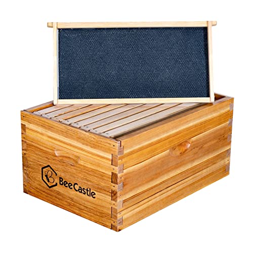 BeeCastle Heavy Wax Coated Langstroth Unassembled Deep/Brood Box with Frames and Beeswax Coated Foundation Sheet (8 Frame) - size: 8 Frame