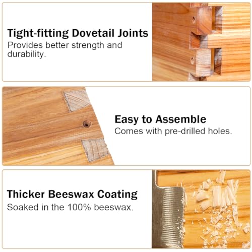 BeeCastle 5 Frame Bee Hive Nuc Box Coated with 100% Beeswax Includes Beehive Frames and Waxed Foundations