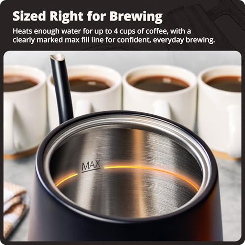 Greater Goods Electric Gooseneck Kettle, 1200W Stainless Steel with Precision Temperature Control, Fast Boil, BPA-Free, Ideal for Pour Over Coffee and Tea, 0.8L (Onyx Black) - color: Onyx Black