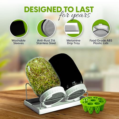 Broccoli Sprouting Kit & Green Onion Regrower with USA Organic Broccoli & Alfalfa Seeds – 2 Wide-Mouth Mason Jars, Sprout Lids, Stainless Stand, Drain Tray & Blackout Sleeves (Sprout Jar + Seeds) - color: Sprout Jar + Seeds