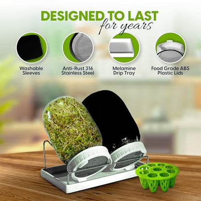 Broccoli Sprouting Kit & Green Onion Regrower with USA Organic Broccoli & Alfalfa Seeds – 2 Wide-Mouth Mason Jars, Sprout Lids, Stainless Stand, Drain Tray & Blackout Sleeves (Sprout Jar + Seeds) - color: Sprout Jar + Seeds