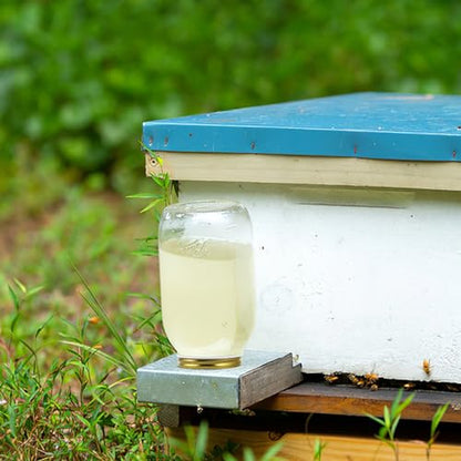 BESPORTBLE Bee Feeders Entrance Beehive Lid: 8pcs Bee Water Dispenser, Fittings Beehive Entrance Feeder, Feeding Equipment Water Feeding Tool Metal - size: 7.30X7.30X1.50CM