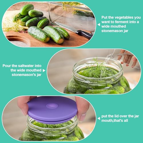 Wide Mouth Mason Jar Fermentation Lids – Silicone Fermenting Caps with Waterless Airlock, Self-Burping Fermenter Tops for Pickles, Kimchi, and Probiotic Foods, 3 Pack Purple (Jars Not Included) - color: Purple
