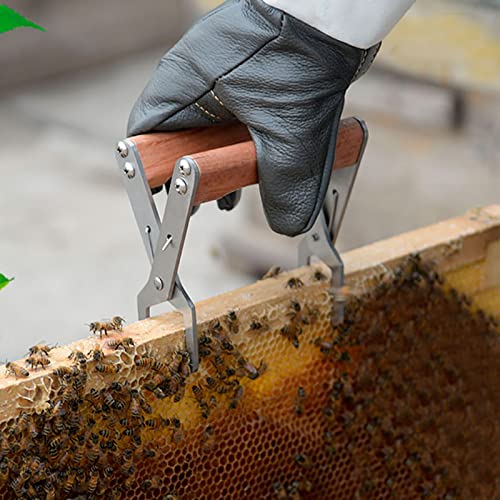 Bee Frame Clip, Beekeeping Frame Gripper, Bee Frame Lifter Stainless Steel Bee Frame Clip Clamp Tong Beekeeper Beekeeping Tool Equipment Accessories
