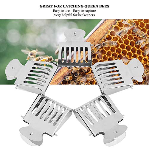 Queen Bee Catcher Clip, 5PCS Stainless Steel Book Clip Type Cage for Apiary Control and Safe Transfer