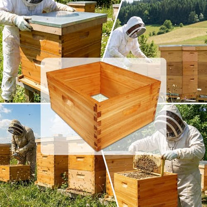 2 Pack Beehive Deep Brood Box 10 Frame Langstroth Deep Brood Bee Hive Box Beekeeping Supplies