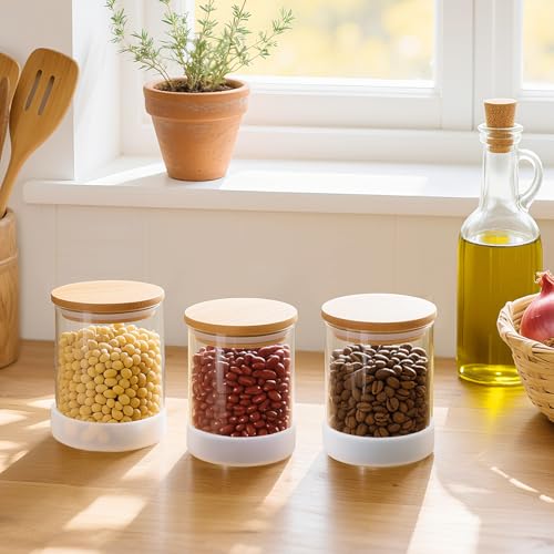 TBWIND 17oz Round Glass Storage Containers with Bamboo Lids – 12 Pack Small Airtight Clear Spice Jars for Pantry Organization, Kitchen Dry Food, Flour, Spice, Coffee Beans, Staples & Snacks - color: Round/17oz/12pcs