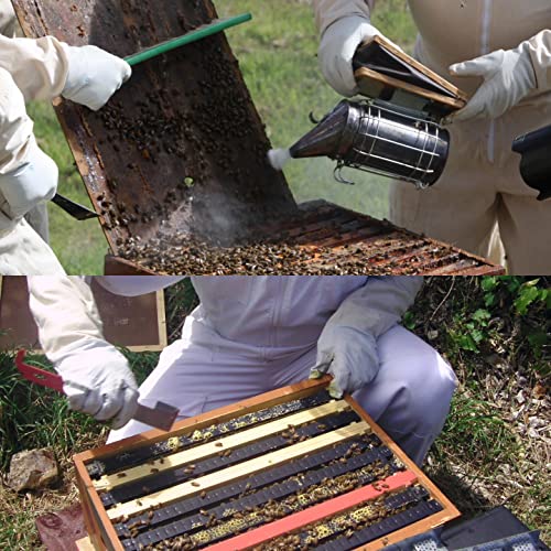 Honey Lake Bee Hive Tool Kit for Beekeeping with Bee Smoker, 54 Pellets, J Hook, L Hook, Frame Holder Grip, Uncapping Fork, Complete Beekeeping Supplies