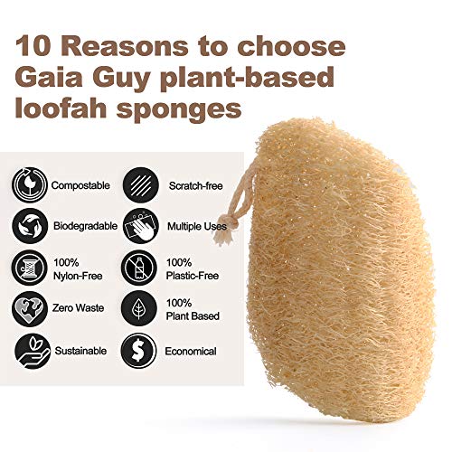 Plastic-Free Cleaning Brushes and Loofah Sponges