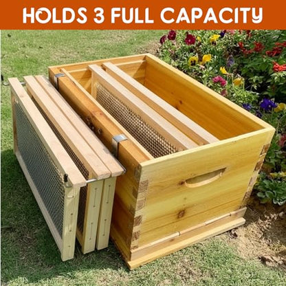 Blulu 2 Pack Stainless Steel Bee Hive Frame Holders Hold 3 Full Beehive Frame Support 18 x 12 x 4 Inches Beekeeping Supplies Holder Stand Support Perch for Honey Harvesting Inspection