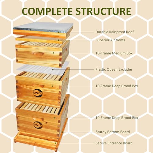 10 Frame Bee Hive Starter Kit, Complete Beehive Kit for Beekeepers Dipped in 100% Beeswax,Bee Hive Boxes Starter Kit for Bee Keekeepers - Langstroth Beehive Kit with 2 Deep Boxes & 1 Medium Box