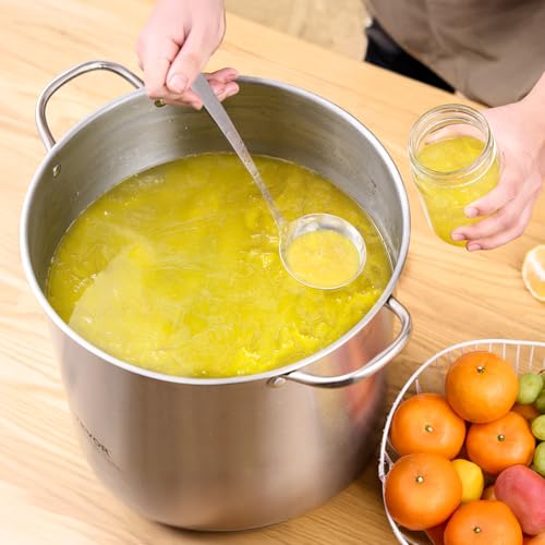 VEVOR 21 QT Canning Pot with Rack and Lid, Stainless Steel Waterbath Canner with Dual Handle and Glass Lid, Compatible with All Cooktops: Induction, Gas, Electric, Glass, Ceramic, Halogen - size: 21QT+2PCS
