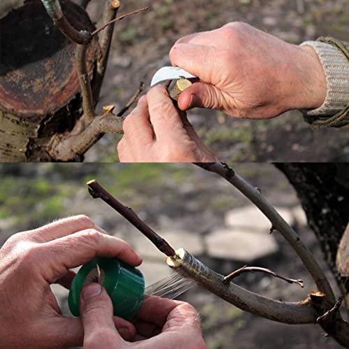 Double Blades Garden Knife for Budding Pruning with 3 Rolls Grafting Tape, Flexible Grafting Kit for Floral Fruit Tree