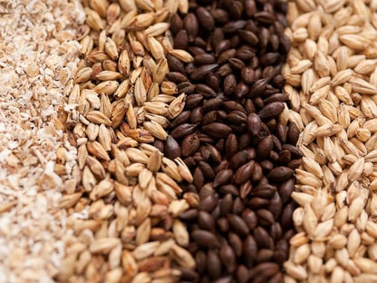 American Blonde Ale Advanced Homebrew All Grain 5 Gallon Beer Ingredient Recipe Kit by My Brew Supply