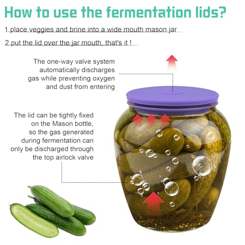 Wide Mouth Mason Jar Fermentation Lids – Silicone Fermenting Caps with Waterless Airlock, Self-Burping Fermenter Tops for Pickles, Kimchi, and Probiotic Foods, 3 Pack Purple (Jars Not Included) - color: Purple