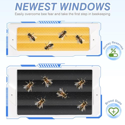 8 Frame Langstroth Bee Hive, Painted Beehive Kit with Windows Includes Unassembled Beehive Box with Beehive Frames and Foundations (2 Deep & 2 Medium)