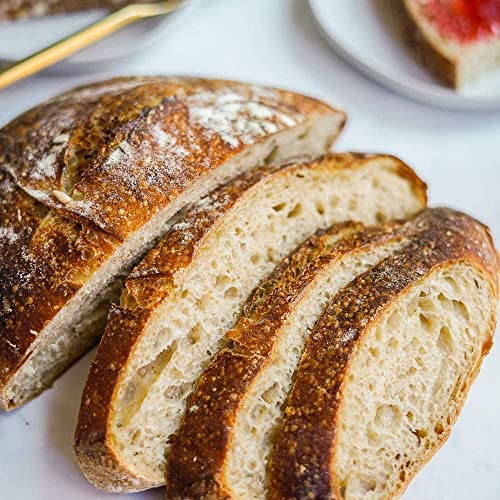 Cultures for Health Sourdough Starter Bundle | 3 Different Starter Cultures | San Francisco Style, Whole Wheat & Rye Sourdough | Heirloom, Non-GMO | Live Culture Bread Making