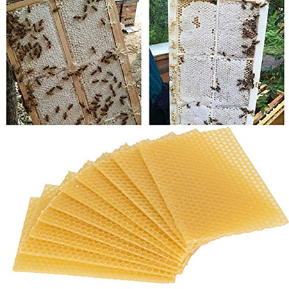 10Pcs Pure Beeswax Foundation | Authentic Beehive Wax Frame for Furniture Polishing/Candle Making/Crafts | Dampness - Protective & Crack - Preventive | 140g per Sheet