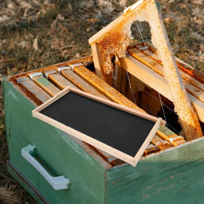 Bee Keeping Frame Holder Made of Pine Wood and Plastic, Versatile Beekeeping Tool for Holding Hive Frames, for General Beekeeping Tasks and Honey Harvesting
