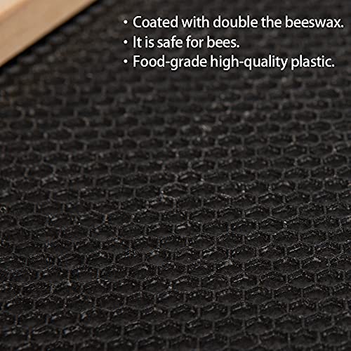 Beehive Frames and Wax Foundations for Deep Brood Box Bee Hives Frames and 100% Beeswax Coated Foundations Sheets Deep Bee Frames and Foundations 10 Pack - size: 10-Pack