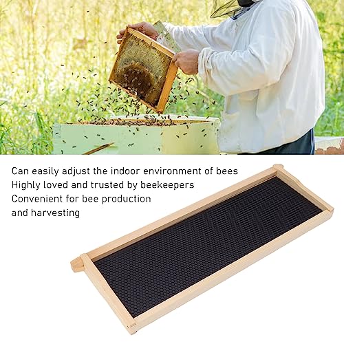 10 Set Beehive Frames and Wax Foundations, Beehive Waxed Coated Foundation Sheet with Pine Wood Frame for Bee Production and Harvesting