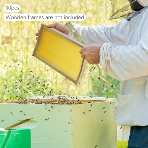 Natural Beeswax Honeycomb Foundation Sheets,30 Pcs Bee Hive Foundations，Wax Foundation for Bee Frames Honey，for Beekeeping and DIY Candle Making