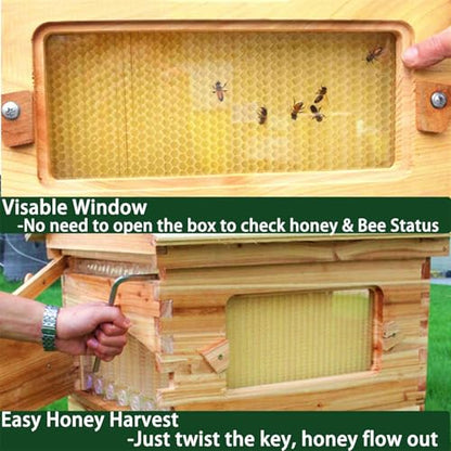 Beehive Starter Kit, Bee Hive Box with Observation Windows, Automatic Self-Flowing Complete Honey Bee Hive, Complete Beekeeping Wooden Bee Box for Beekeeper Beekeeping Equipment