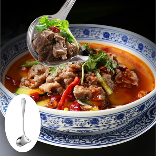 2 PCS Gravy Ladle Professional Soup Ladle Ladle Spoon Soup Spoon Long Handled Stainless Steel Sauce Soup Spoon with Pour Spout for Kitchen Tool,Soup Sauces, Gravies(8.07inch,Silver)