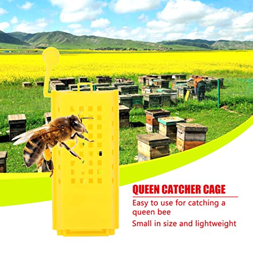 Queen Bee Catcher, 10PCS Queen Bee Cage Queen Bee Cage Catcher Clips Queen Rearing Kit Beekeeping Supplies Rearing Cup Kit Transporting Catcher Insectary Box Beekeeper Equipment