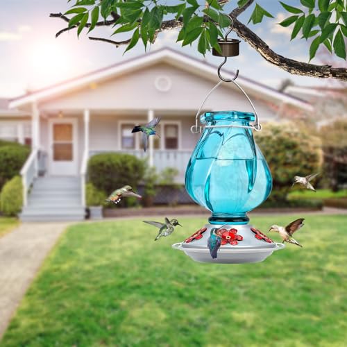 Hummingbird Feeder, BOLITE Glass Hummingbird Feeders for Outdoors Hanging, with Ant Moat and Five Feeding Ports, 22 Ounces, Leak Proof, Blue Bottle - color: Ruby Blue