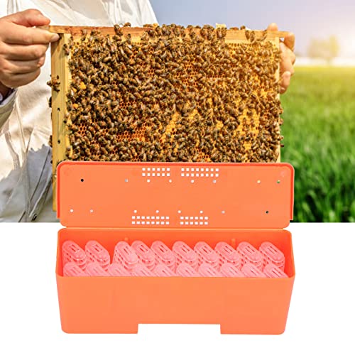 20 Pcs Queen Bee Cages Plastic Transporting Catcher Non-Grafting Beekeeping Queen Cage Beekeeping Rearing Cup Kit for Indoor Home Outdoor