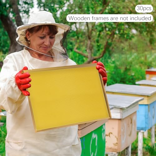 30PCS Honeycomb Bee Wax Foundation, Beehive Wax Frames Waxing Beekeeping Equipment Tool Honey Bee Hive Tool 7.7x16.3"