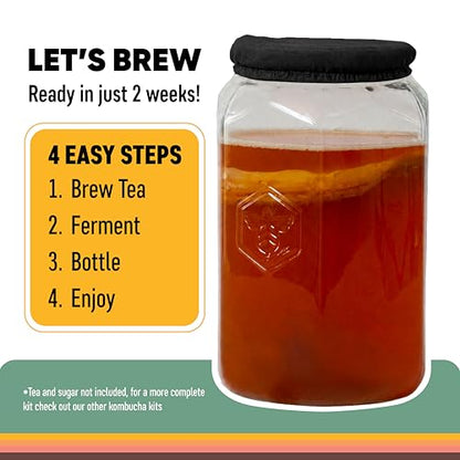 Craft A Brew - Kombucha Basic Starter Kit - For Home Brewing - Includes Fresh Kombucha SCOBY Starter, 1 Gallon Fermenting Jar, Cloth Cover, Brewing Guide - color: Basic Kit