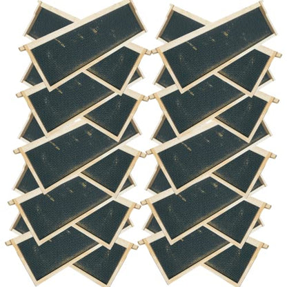 Foxhound Bee Company - Made in USA - Fully Assembled Medium Beekeeping Frames with Double Wax Beeswax Coated Plastic Foundation - 20 Pack - style: Medium - 20 pack