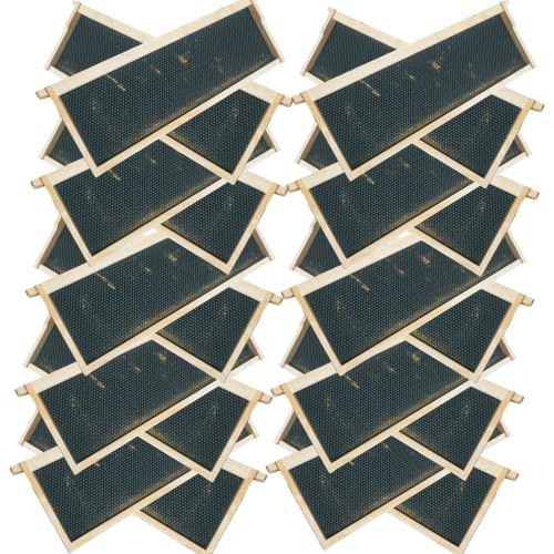 Foxhound Bee Company - Made in USA - Fully Assembled Medium Beekeeping Frames with Double Wax Beeswax Coated Plastic Foundation - 20 Pack - style: Medium - 20 pack