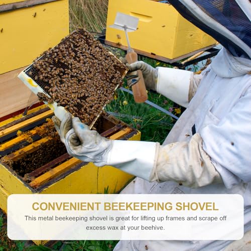 iplusmile Beehive Frame Cleaning Shovel for Efficient Hive Cleaning Stainless Steel Scraper Sturdy Hive Frame Scraper with Wooden Handle for Beekeeping