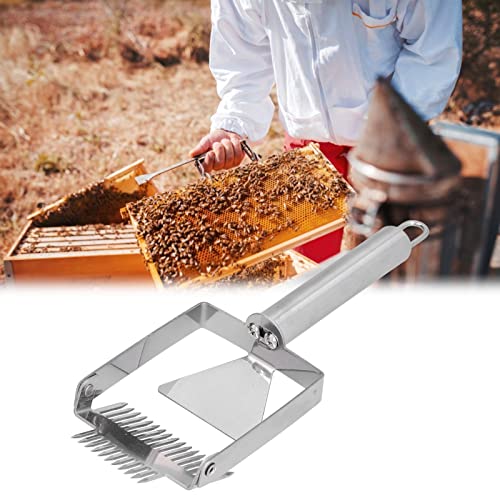 Double Honey Scraper Uncapping Fork, Strong and Pragmatic Beekeeping Tool Comfortable Handle Exquisite Workmanship Practical Beehive Equipment Suitable for Collecting (Stainless - size: Stainless steel handle double