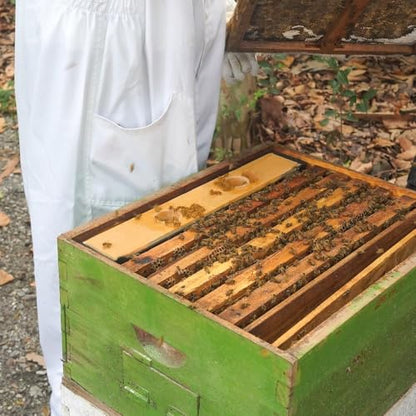 6L Bee Hive Feeder, Bee Feeders for Hives,Frame Feeders for Bee Hives,Plastic Bee Syrup Water Food Feeder Bee Feeding Tools Beekeeping Supplies