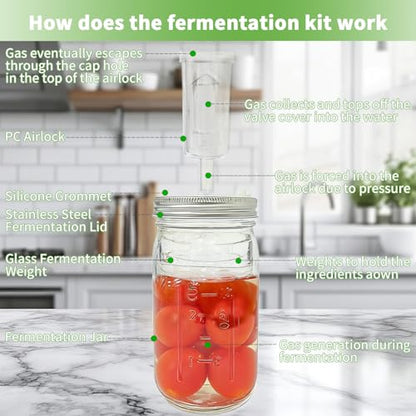 2 Pack Mason Jar Fermentation Kit(Jars Included)32 oz Wide Mouth Fermentation Jars with Plastic Lids,Airlock Lids & Glass Weights,Complete Mason Jar Set for Sauerkraut, Pickles,Kimchi, Hot Sauce,Mead
