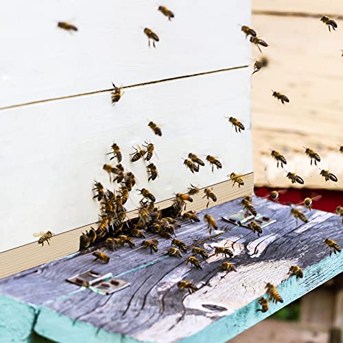 5 Pack Beehive Entrance Reducer 10 Frame Wood Bee Hive Entrance Reducer for Beekeeping, 2 Size Openings, Control Ventilation and Keep Out Honey Robbers, Beekeeping Supplies