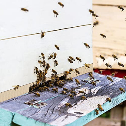 5 Pack Beehive Entrance Reducer 10 Frame Wood Bee Hive Entrance Reducer for Beekeeping, 2 Size Openings, Control Ventilation and Keep Out Honey Robbers, Beekeeping Supplies