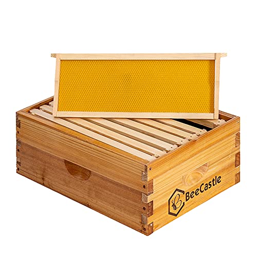 BeeCastle 8 Frame Medium Super Bee Hive Box, Langstroth Honey Bee Hive Dipped in 100% Beeswax Include Beehive Frames and Wax Foundations (Unassembled) - size: 8-Frame