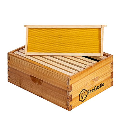 BeeCastle 8 Frame Medium Super Bee Hive Box, Langstroth Honey Bee Hive Dipped in 100% Beeswax Include Beehive Frames and Wax Foundations (Unassembled) - size: 8-Frame