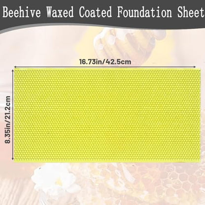 Beehive Wax Coated Foundation Sheet Beehive Foundation Sheet,Beeswax-Coated Foundation Sheets Made of Plastic,Black Beehive Beeswax Coated Foundation Sheet,for Deep Bee Frame (Green,10Pcs) - color: Green, size: 10Pcs