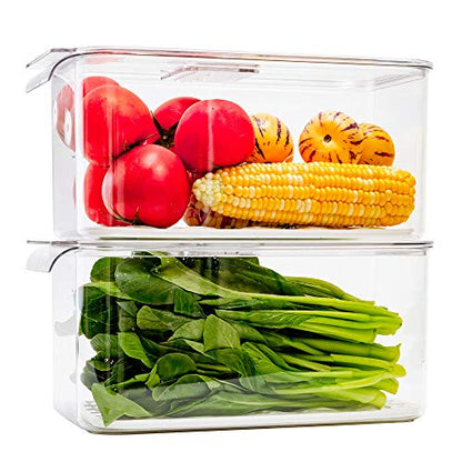 SANNO Produce Saver Refrigerator Organizer Bins with Lids And Removable Drain Tray Food Storage Container Fridge Stackable Freezer Bins For Kitchen Produce Fruit Vegetable (Set of 2) - size: 12.4” x 6.4”x 5.7"+12.4” x 6.4”x 5.7"