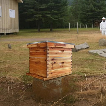 10-Frame Complete Bee Hives and Supplies Starter Kit Dipped in 100% Beeswax, Includes 1 Deep Hive Bee Box and 1 Bee Hive Super with Beehive Frames and Foundation for Beginner Beekeepers
