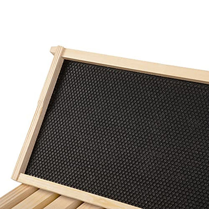Beehive Frames and Wax Foundations for Deep Brood Box Bee Hives Frames and 100% Beeswax Coated Foundations Sheets Deep Bee Frames and Foundations 10 Pack - size: 10-Pack