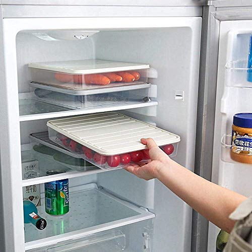 Food Storage Containers 11.02×8.85×1.81" Vegetable Organizer with Lid Clear Fridge Crisper Keep Food Fresh Kitchen Organizer Bins (2 x Large) - color: 2-Large