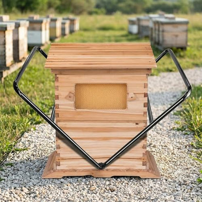 Beekeeping Hive Mover for 10-Frame Bee Hive Boxes – Heavy-Duty Carrier for Deep/Medium/Shallow Super Boxes